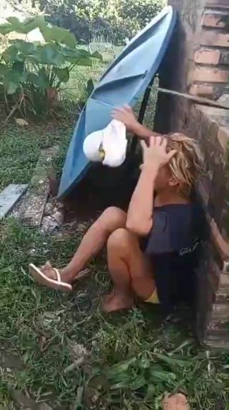 desifun